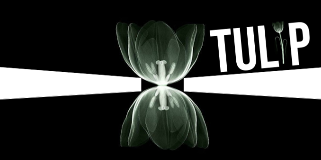 TULiP_LOGO2bw